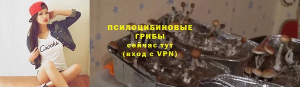 ешки Абинск